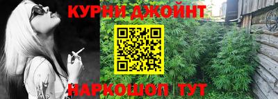 PSILOCYBIN Заводоуковск