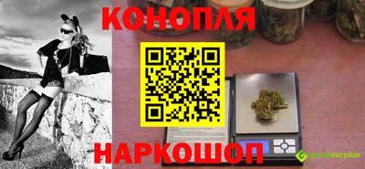 PSILOCYBIN Заводоуковск