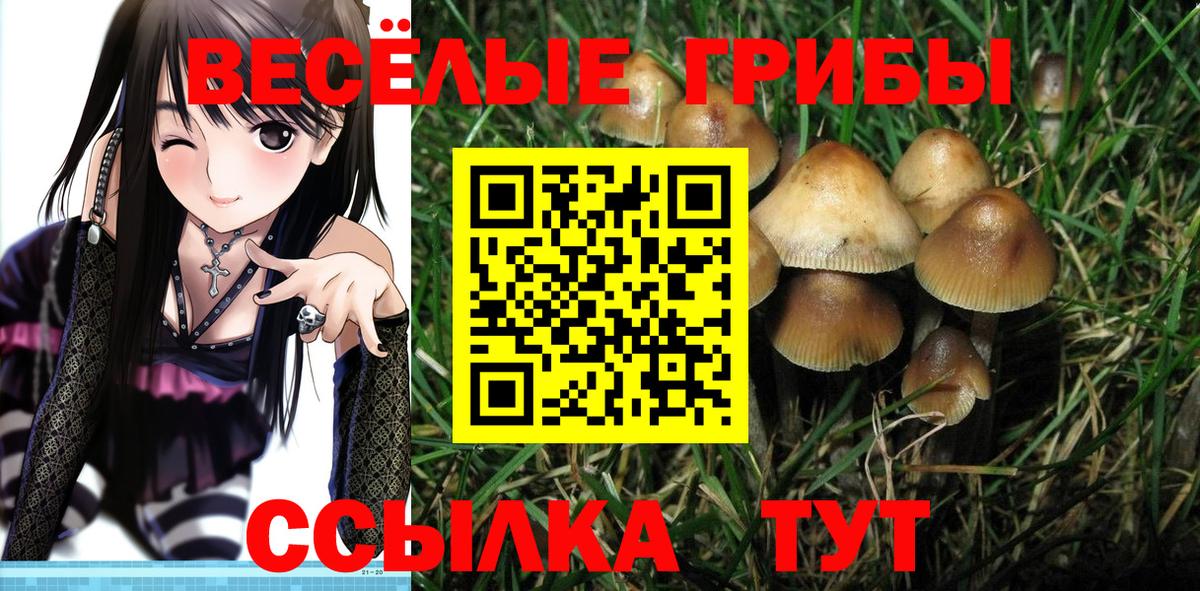 Кировск  Галлюциногенные грибы ЛСД  Псилоцибиновые грибы Cubensis  Вход с VPN 